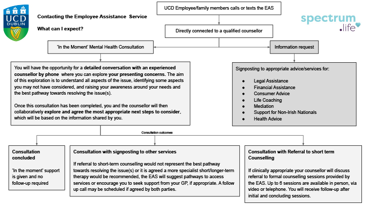 EAP process map